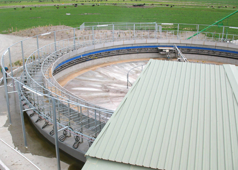 100 bail rotary milking system
