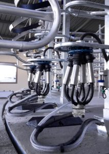 Read Milking Systems cluster