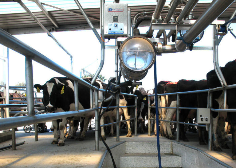 Herringbone Milking Systems Read Industrial Ltd