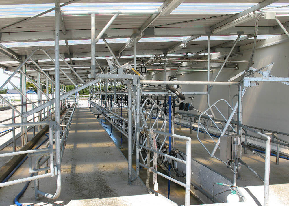 Read Industrial herringbone dairy plant