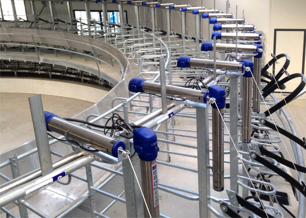 inside read rotary milking system