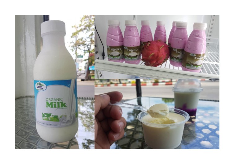 Natural Mountain Dairy Products