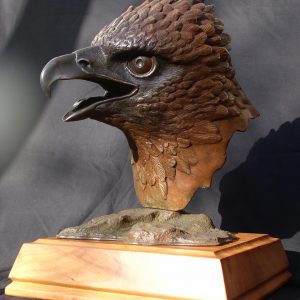 Bronze haast cast eagle