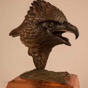 Bronze haast cast eagle