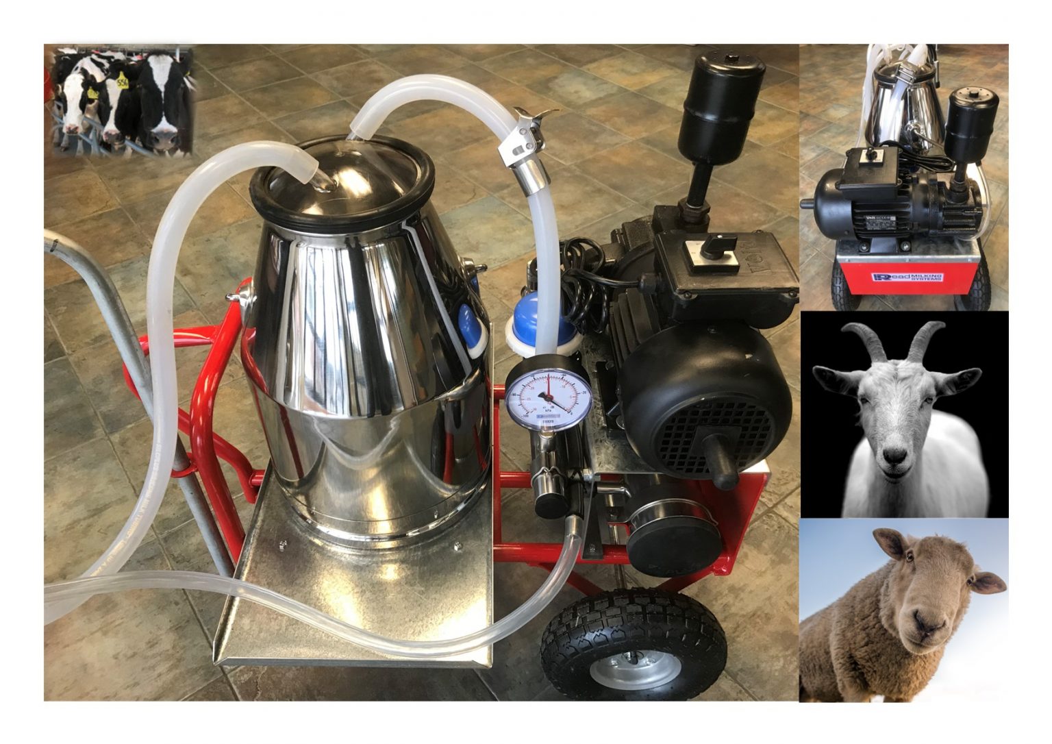 Dairy Milking Technology Read Industrial Ltd